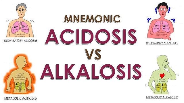 Alkalosis Symptoms, Risk Factors & Treatment | Diseases List A-Z