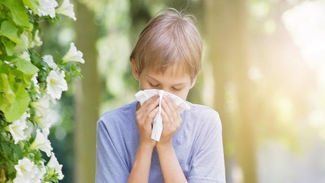 Allergies in Children Symptoms, Risk Factors & Treatment | Diseases List A-Z