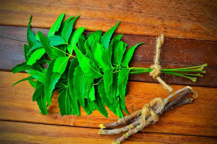 Top 5 Health Benefits of Neem