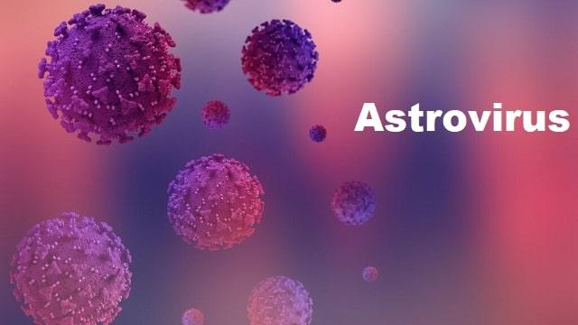 Astrovirus Symptoms, Risk Factors & Treatment | Diseases List A-Z