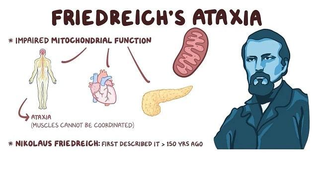 Friedreich’s Ataxia Symptoms, Risk Factors & Treatment | Diseases List A-Z