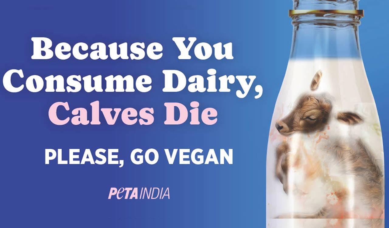 PETA urges Hyderabad to go vegan for world vegan month