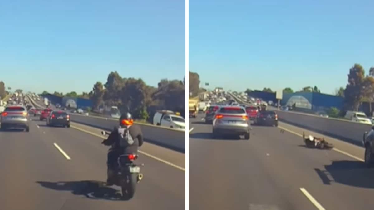 Watch: Dashcam Captures Biker Flying Onto Car Roof After Horrific Crash