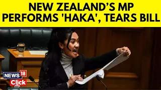 Youngest New Zealand MP Performs Haka Dance In Parliament, Tears Bill