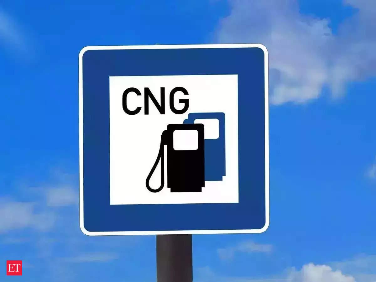 More cuts in domestic gas supply to CNG firms, IGL says to impact profitability