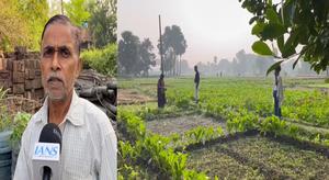 PM Kisan Samman Nidhi scheme bringing smile to Nalanda farmers